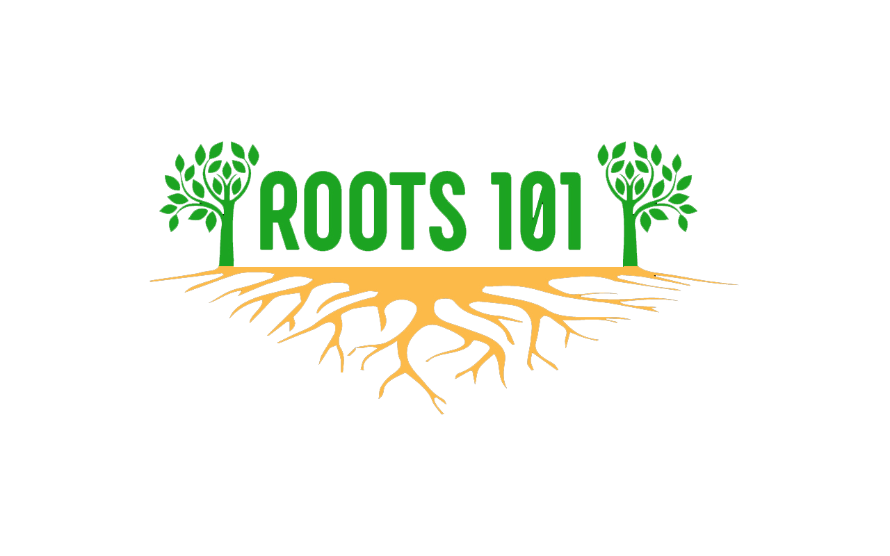 Roots 101 African American Museum Association Of African American Museums 