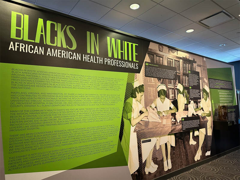 Blacks in White: African American Healthcare Professionals exhibit
